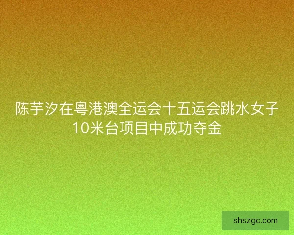 陈芋汐在粤港澳全运会十五运会跳水女子10米台项目中成功夺金 陈芋汐在粤港澳全运会十五运会跳水女子10米台项目中成功夺金