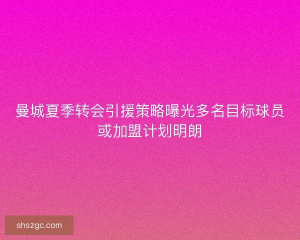 曼城夏季转会引援策略曝光多名目标球员或加盟计划明朗 曼城夏季转会引援策略曝光多名目标球员或加盟计划明朗